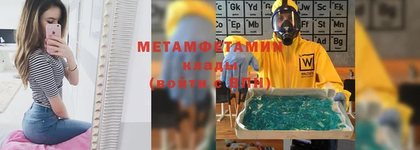 прущие грибы Бородино