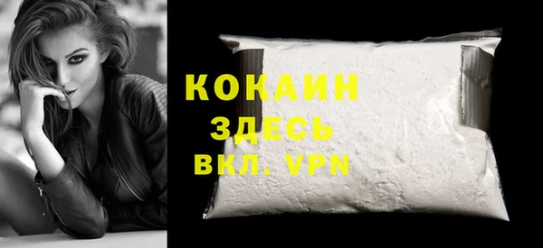 прущие грибы Бородино
