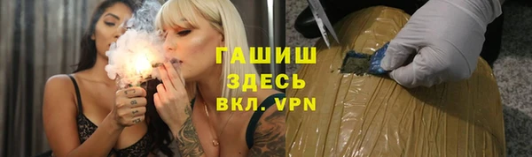 прущие грибы Бородино