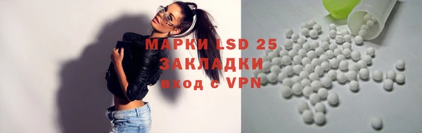 дживик Верея