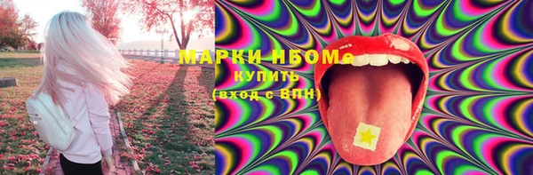 прущие грибы Бородино