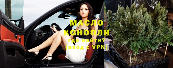 прущие грибы Бородино