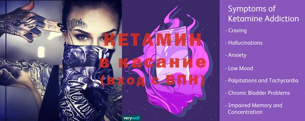 прущие грибы Бородино