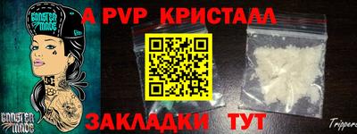 стаф Аргун