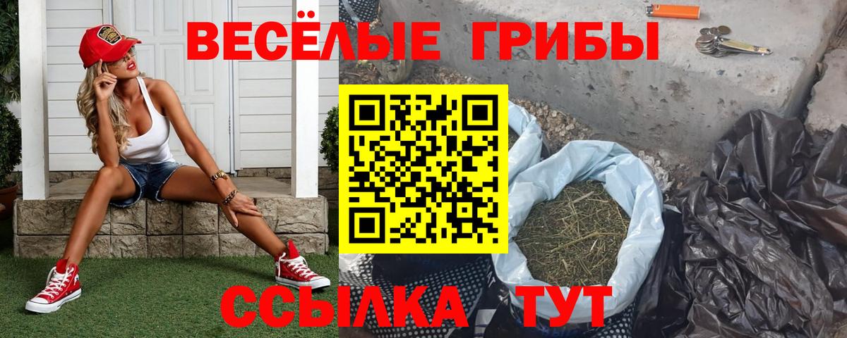 Галлюциногенные грибы мицелий  Псилоцибиновые грибы ЛСД  Вход с VPN  Бугульма 