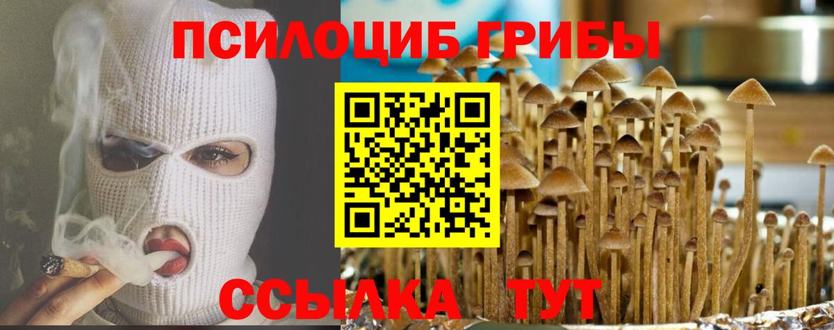 Псилоцибиновые грибы Psilocybine cubensis Бугульма